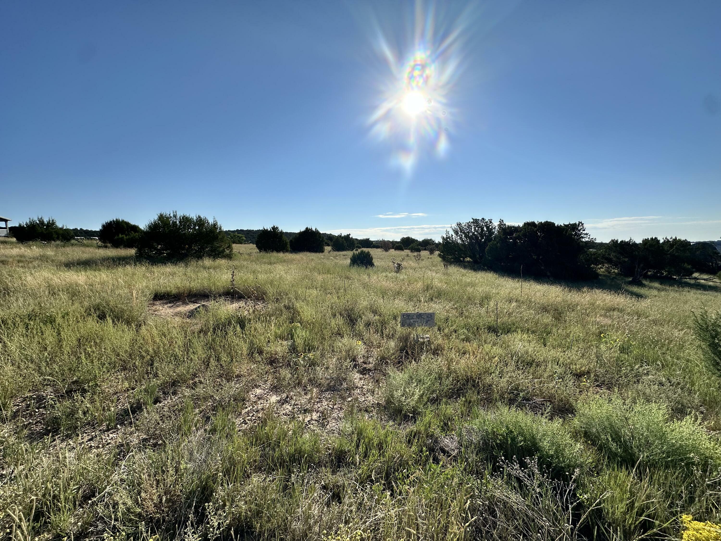 Property Photo:  Lot 29 Block 3  NM 87016 