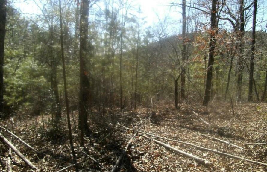 99 Old Post Trail  Talking Rock GA 30175 photo