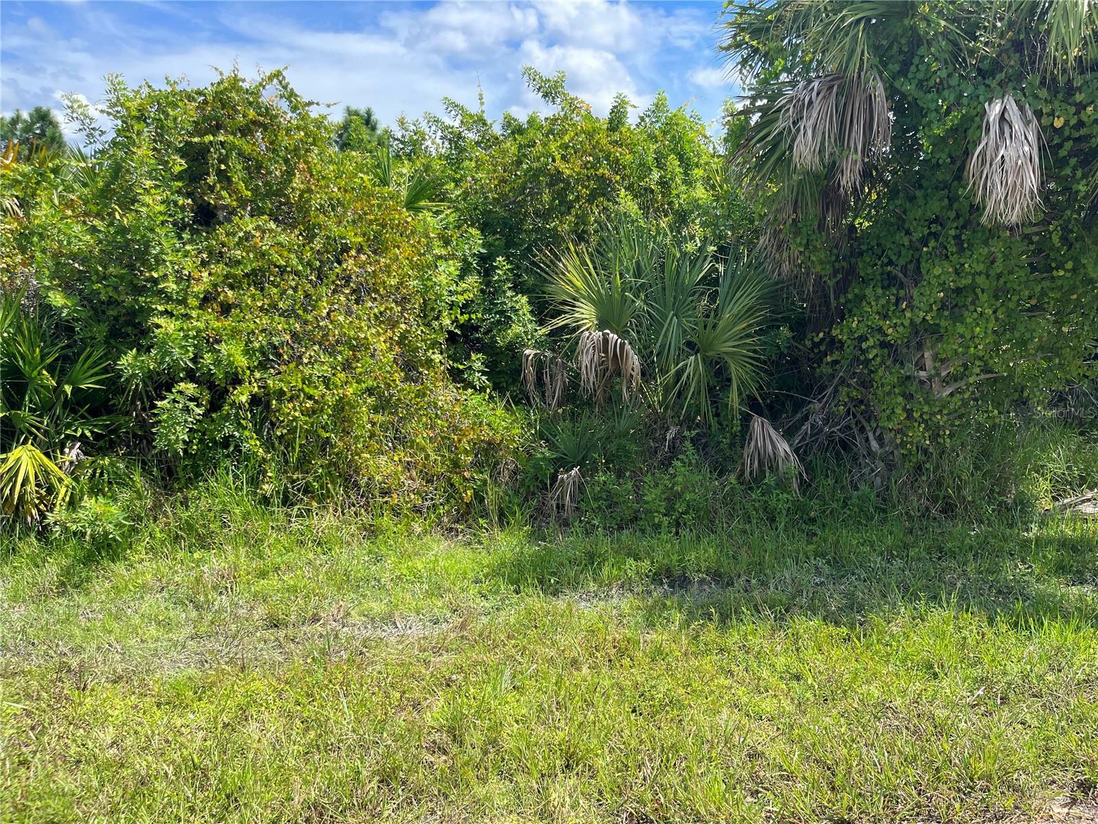 Property Photo:  6148 Carlson Street  FL 33981 