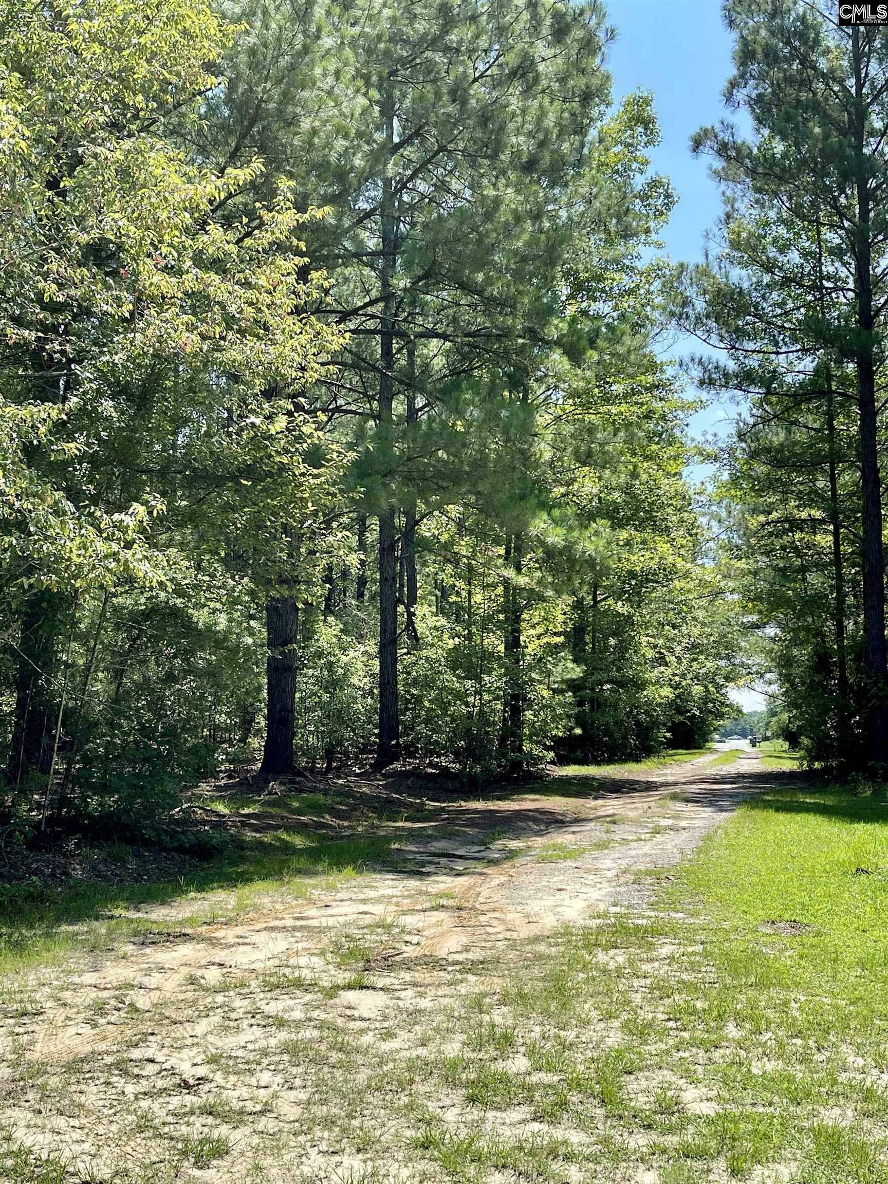 Property Photo:  210 Sunny Acres  SC 29044 