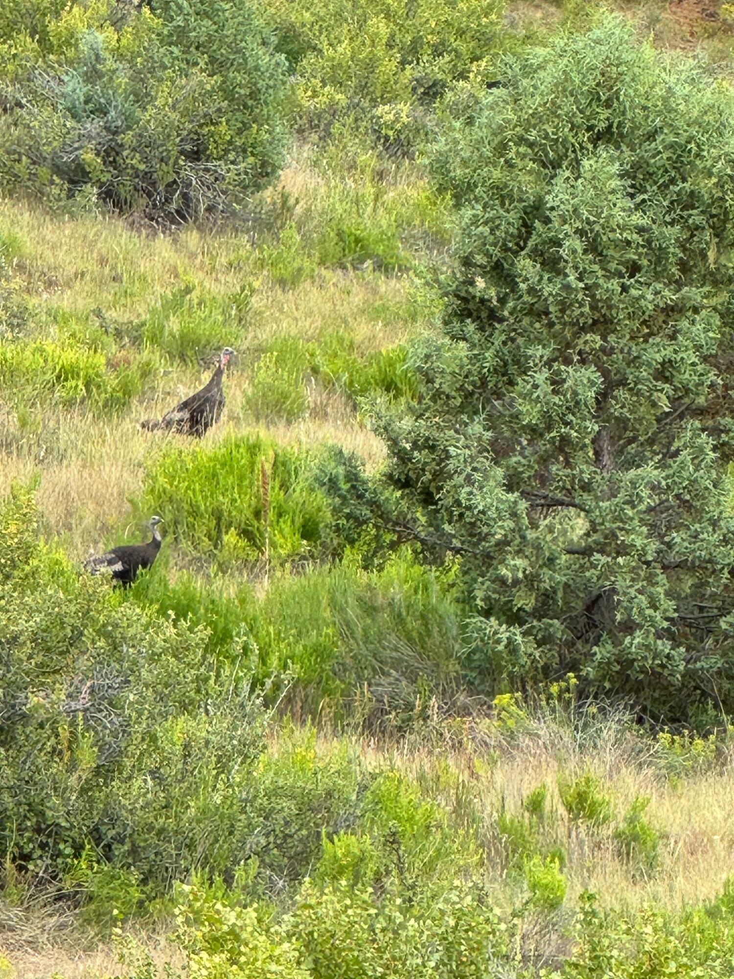 Property Photo: 2450 W. Manitoban Trail UT 84762