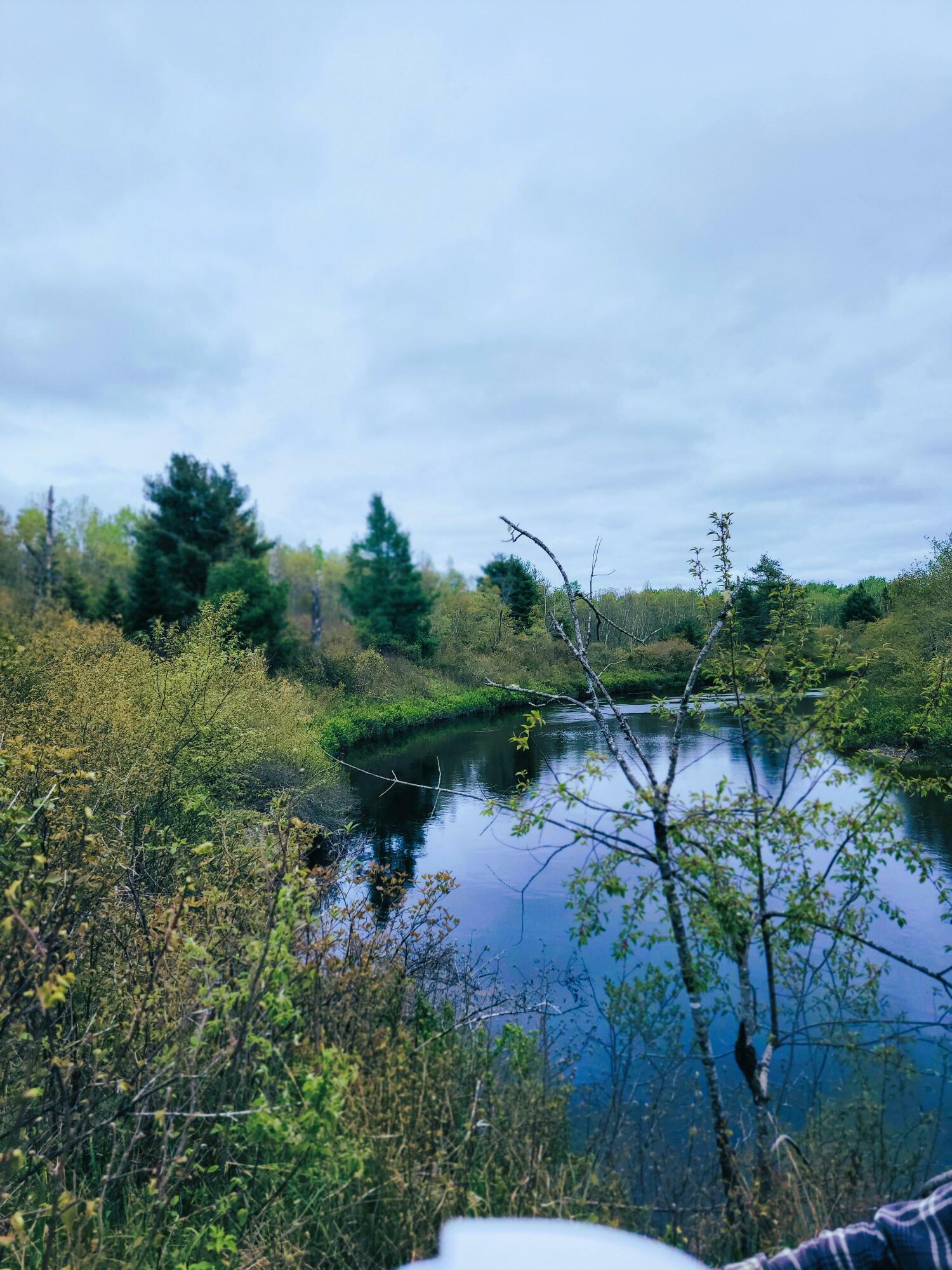 Property Photo:  Lot 46 Lane Road  ME 04622 