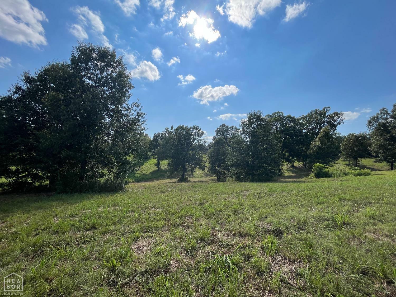 Property Photo:  8 County Road 118  AR 72416 