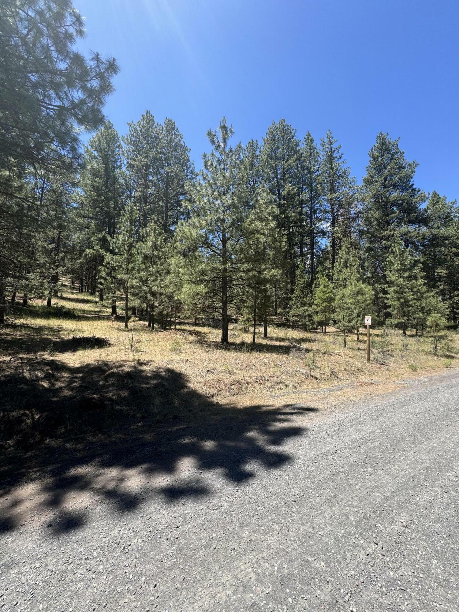 Property Photo:  Overland Drive Lot 1  OR 97603 