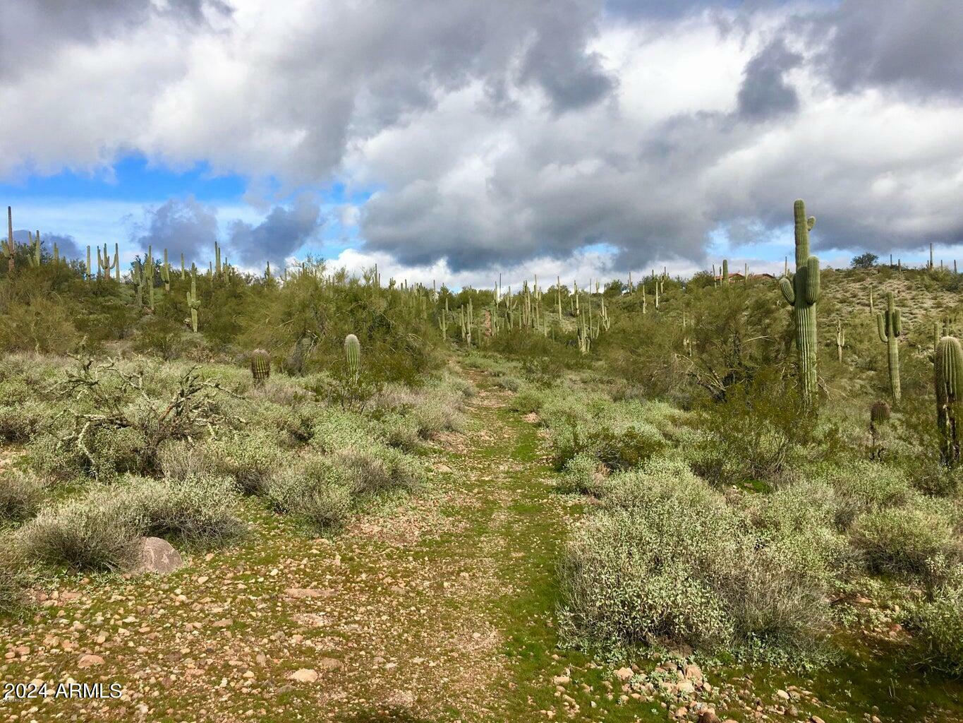 Property Photo:  3353 W Roughrider  2.5 Ac Road -  AZ 85087 