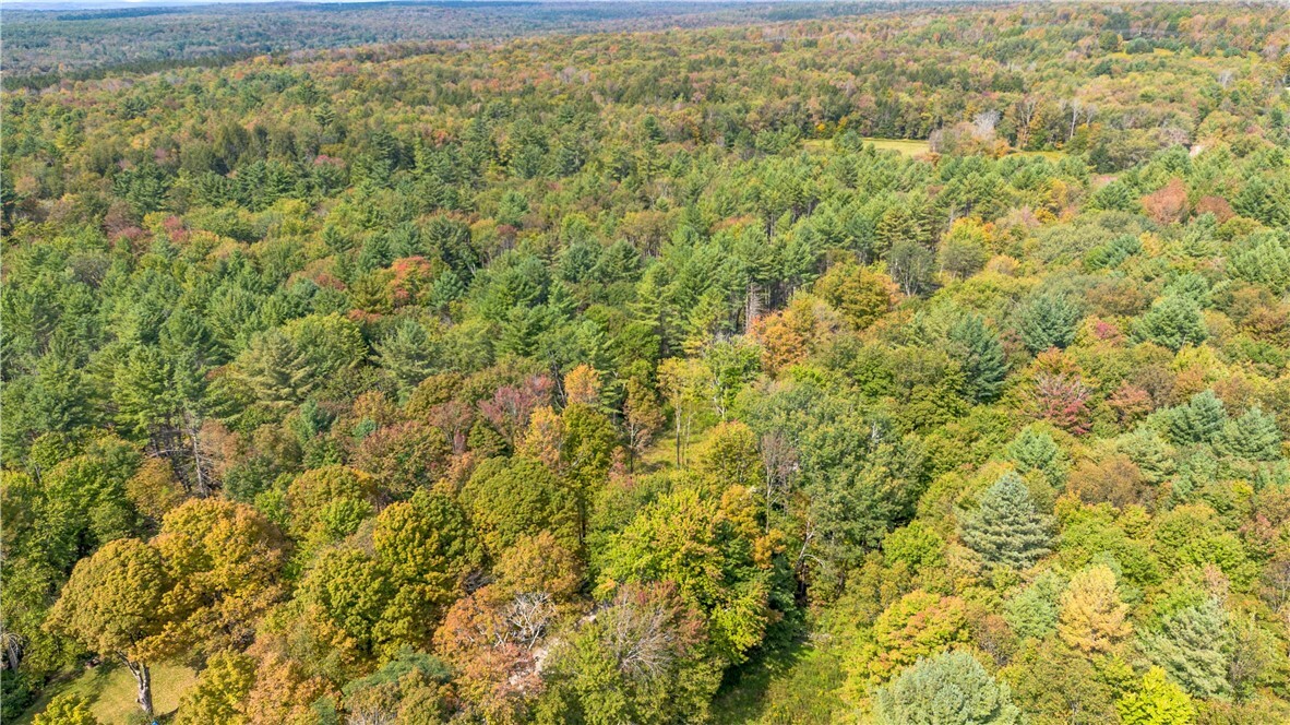 Property Photo:  517 Town Line Road  NY 13801 