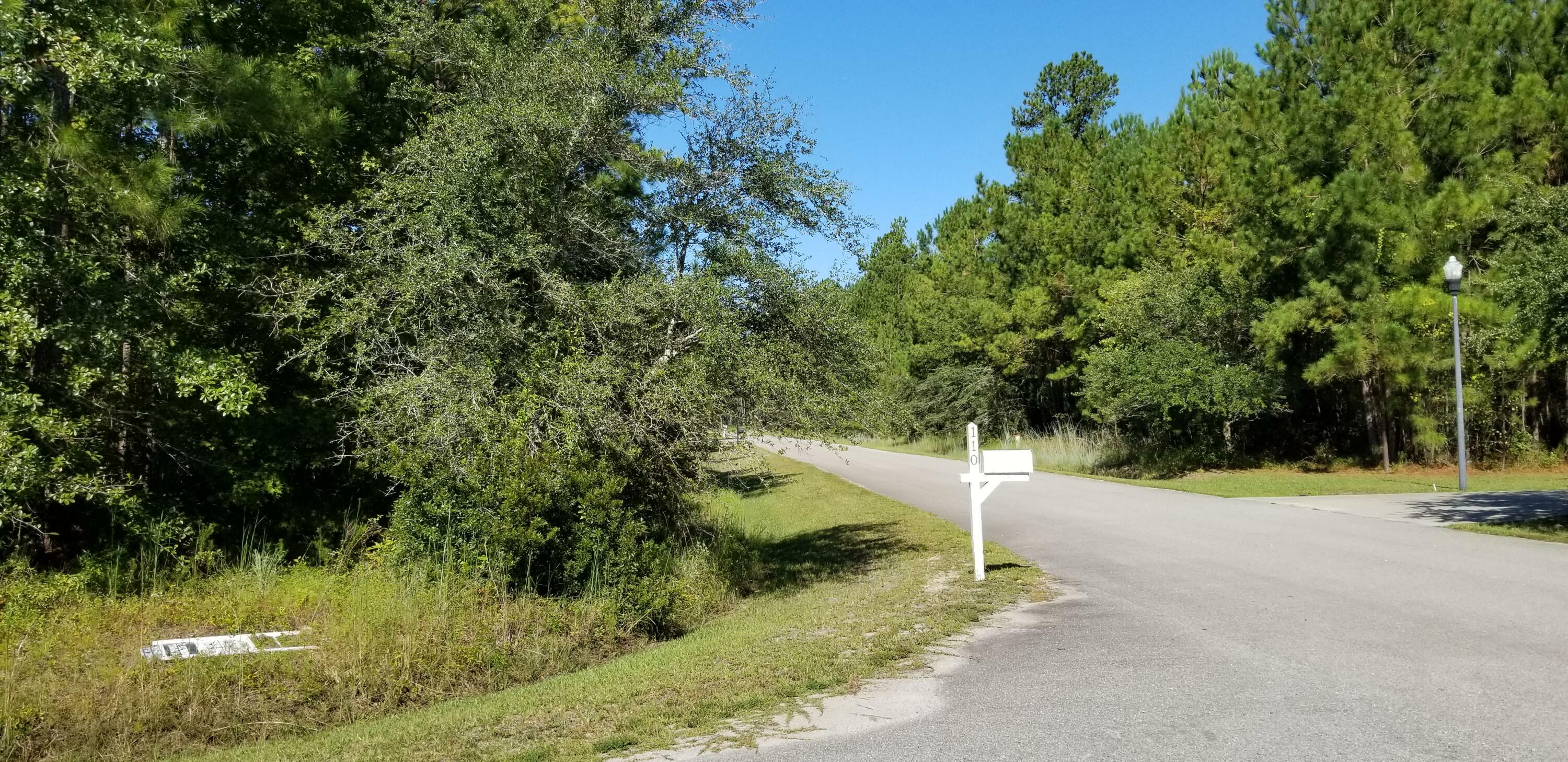 0 Watershed Court  Walterboro SC 29488 photo