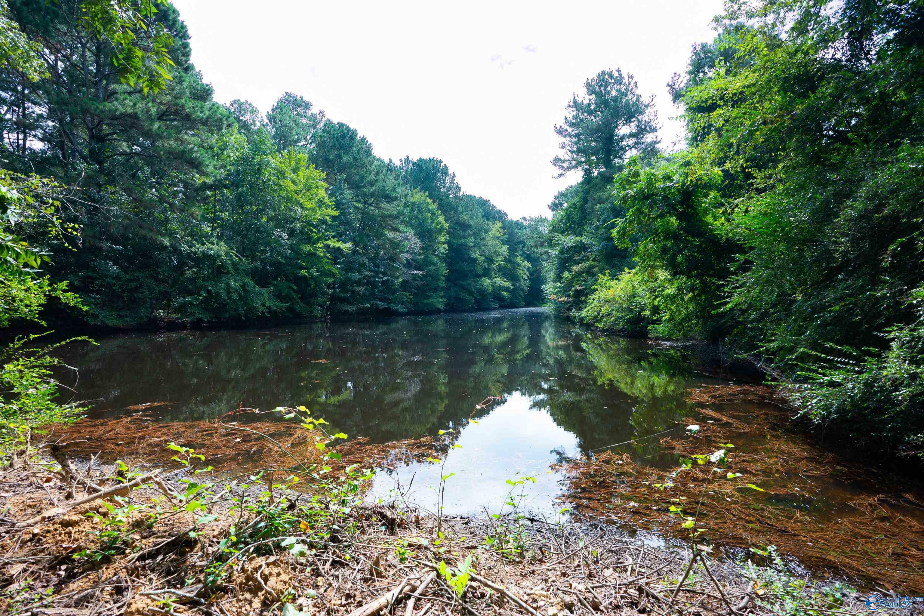 Property Photo:  563 County Road 15  AL 35957 