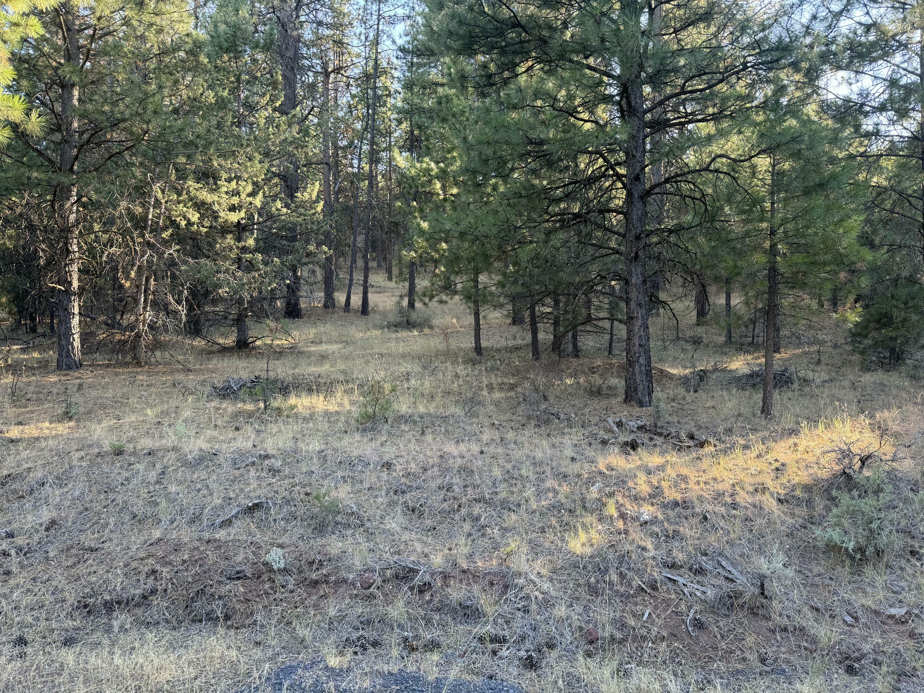 Property Photo:  Overland Drive Lot 2  OR 97603 