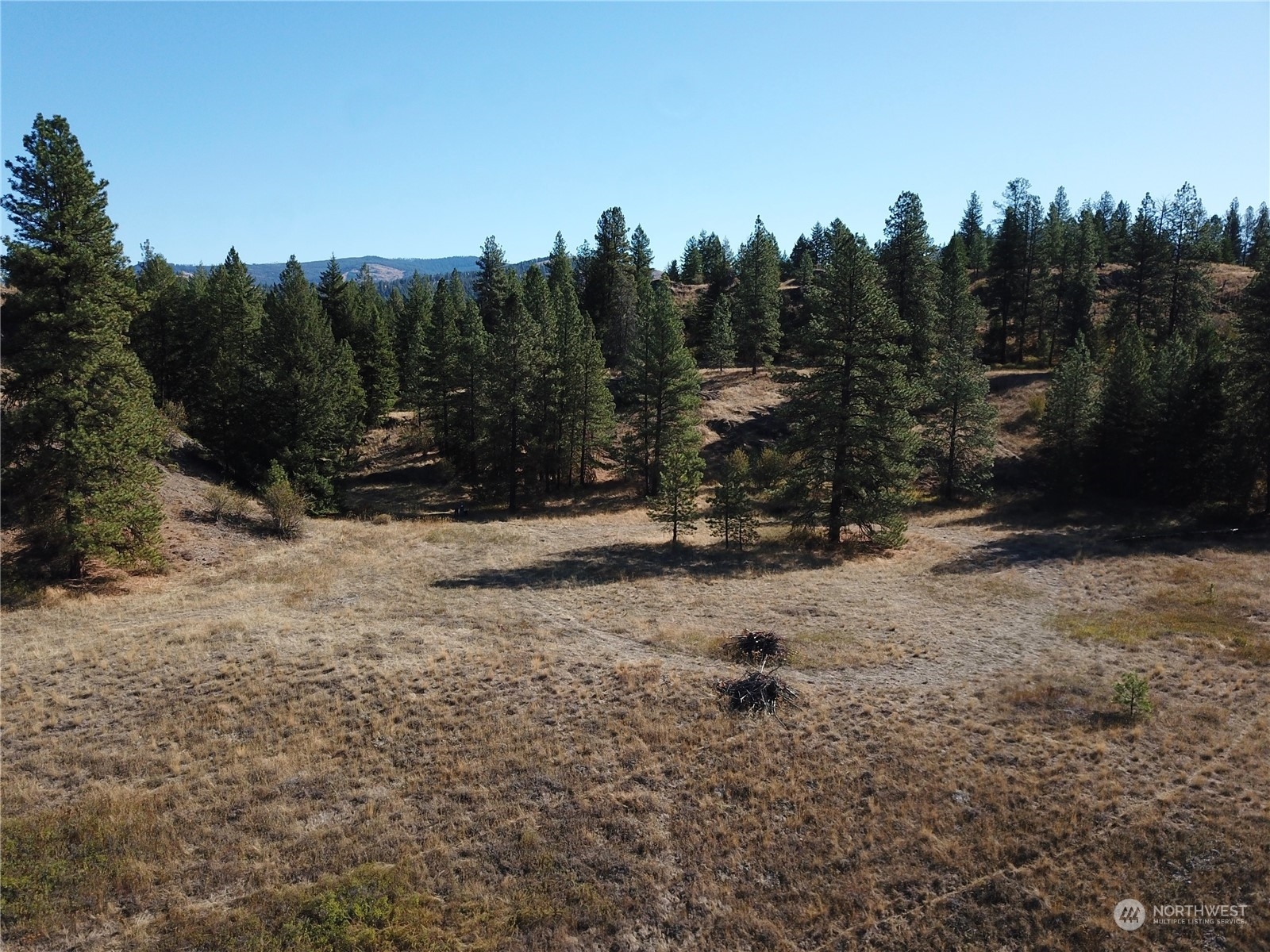 Property Photo:  68 Jostin Lane  WA 99150 