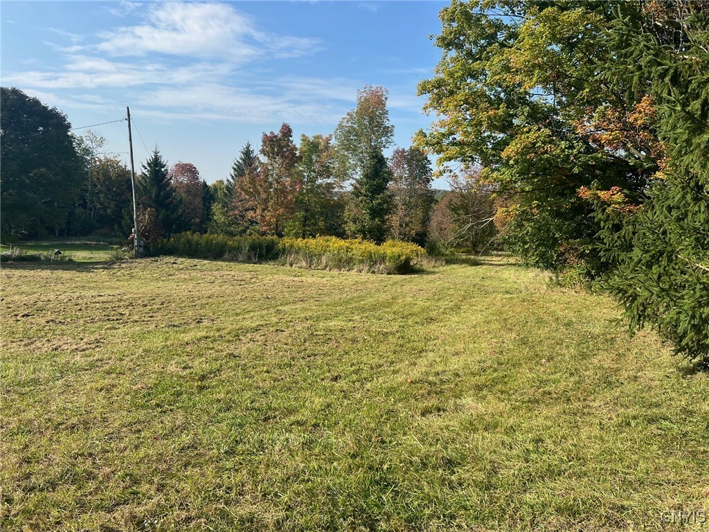 Property Photo: 1177 Gallagher Road NY 13045