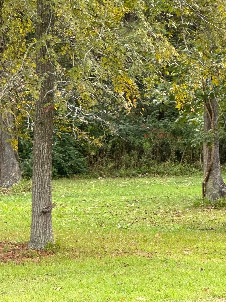 Property Photo: Off Of Fm 1409 TX 77523