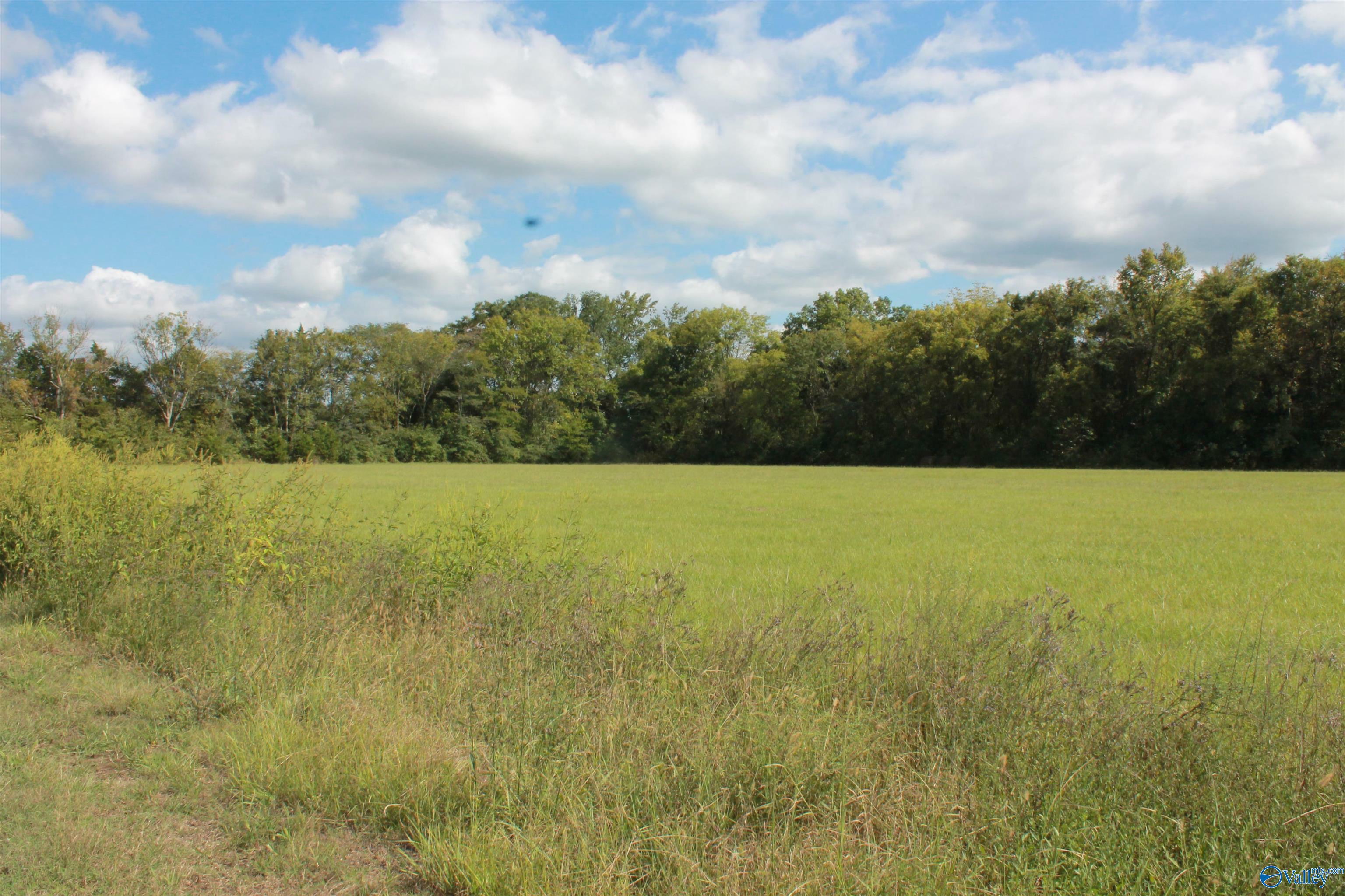 10 Acres Culver Road  Falkville AL 35622 photo