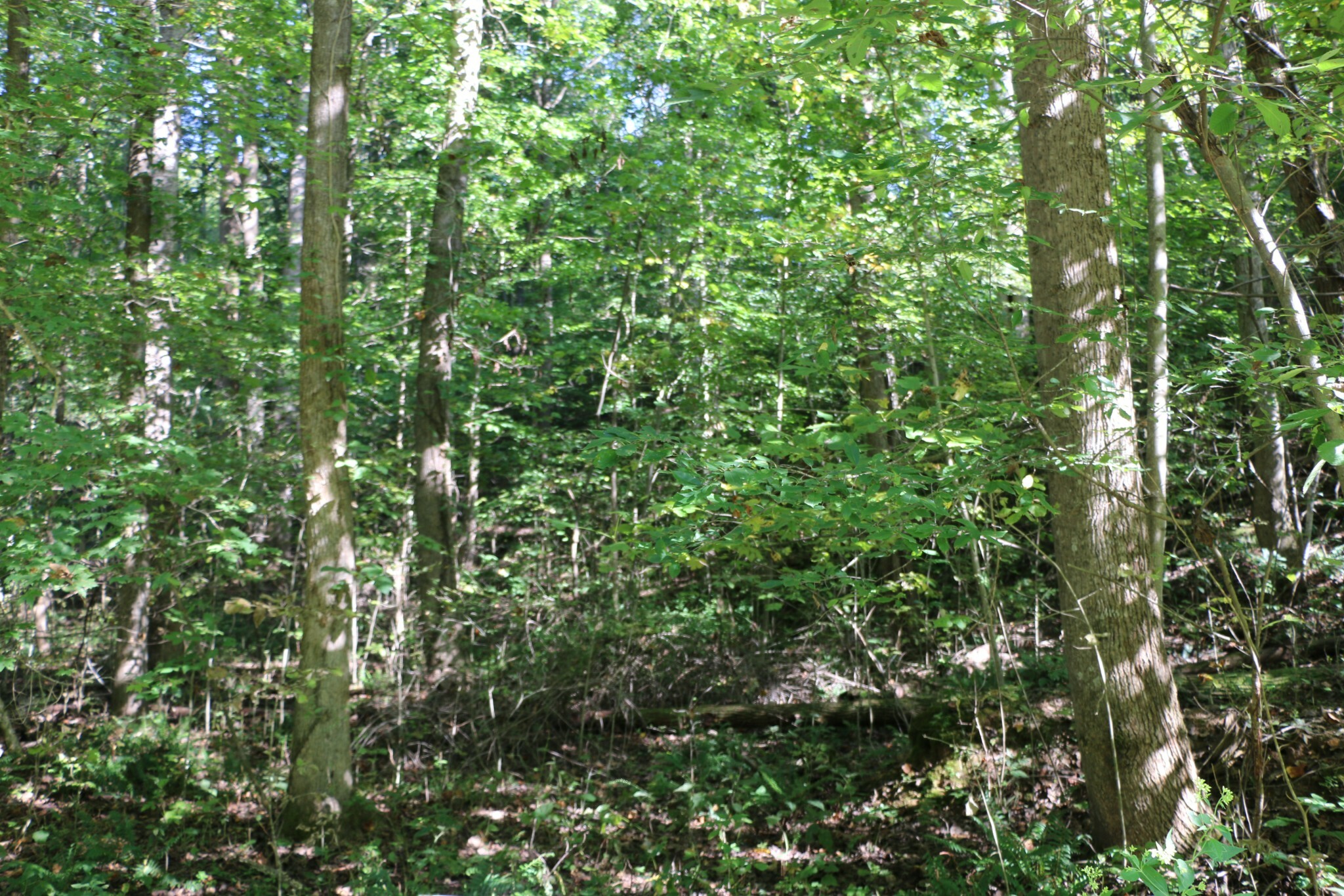 Property Photo: 167 Hermitage Cir TN 37028