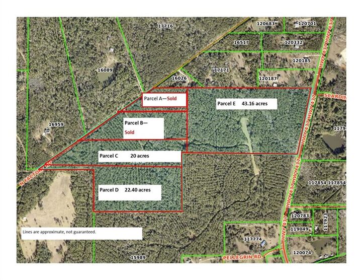 Parcel C N Factory (Hwy 1080) Road  Folsom LA 70437 photo