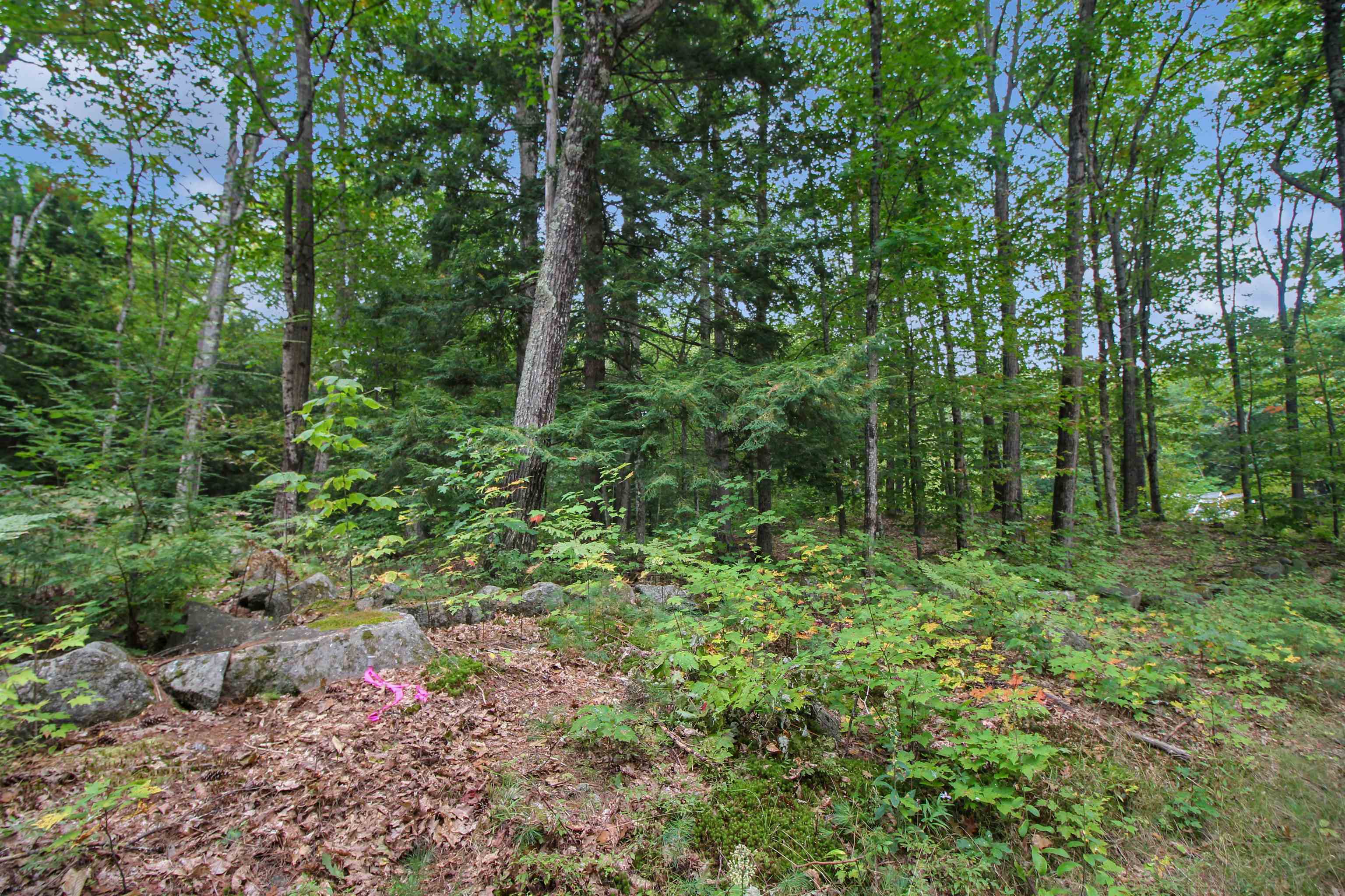Property Photo: 00 Route 175 NH 03285