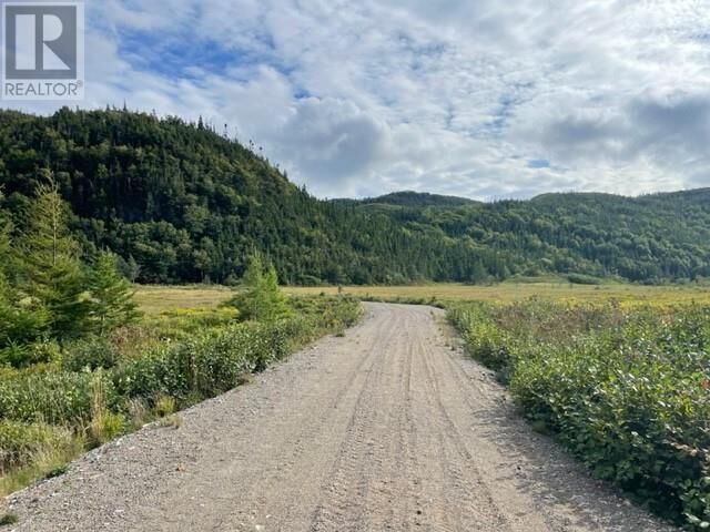 Property Photo:  460 Route - White's Road  NL A2N 2Y4 