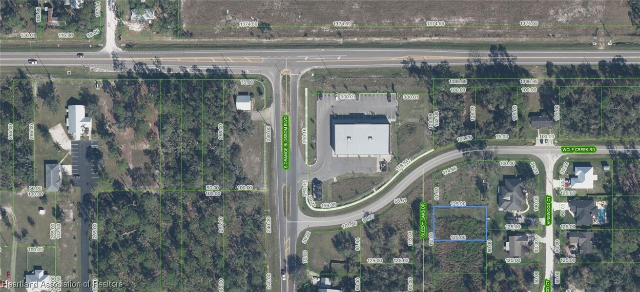 Property Photo: 9208 Sleepy Oaks Drive FL 33875