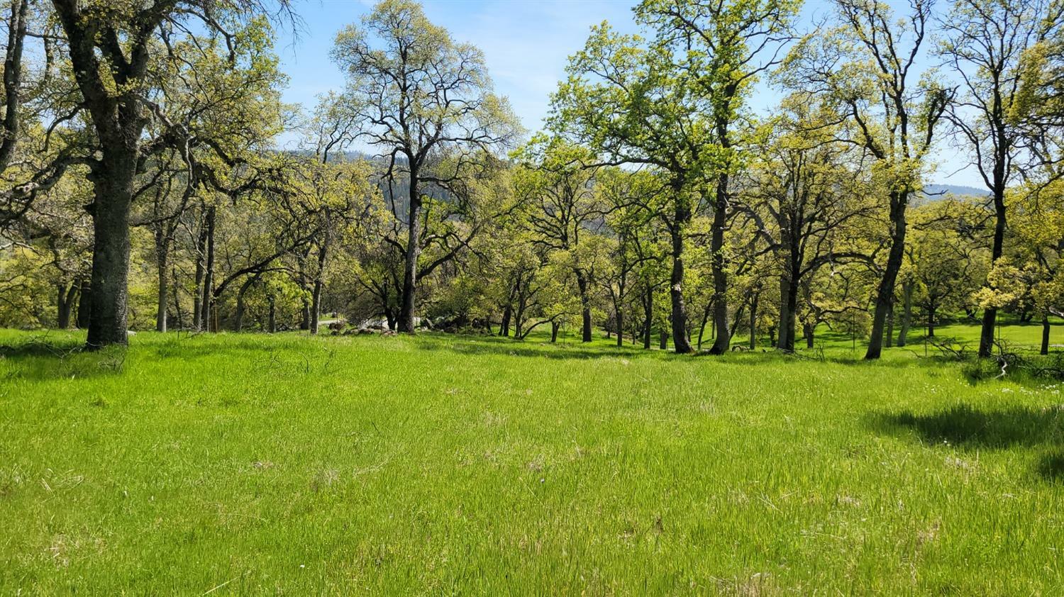 Property Photo:  19884 Applejack  CA 95949 