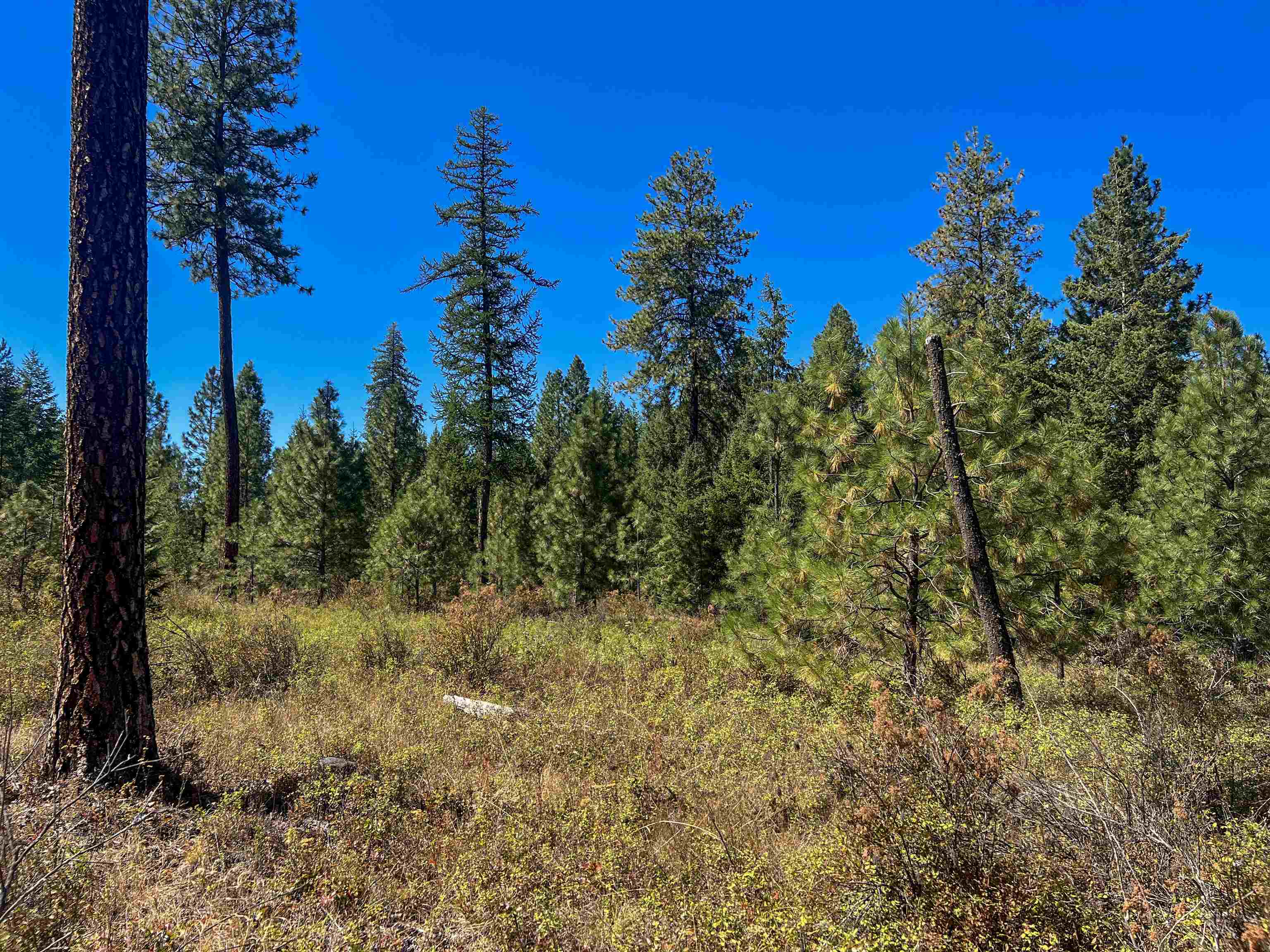 Property Photo:  52xx Lot 2 Swenson Rd  WA 99006 