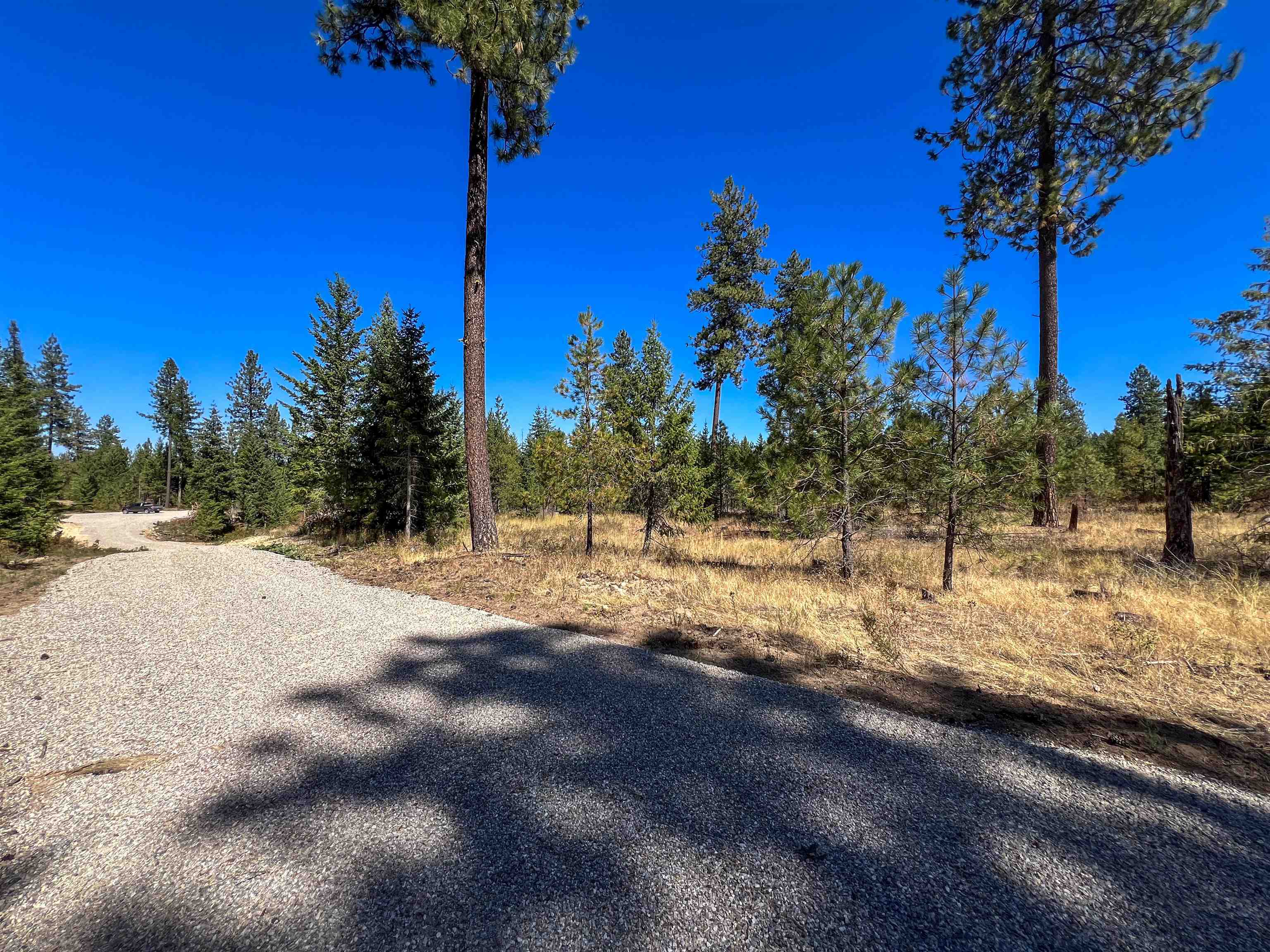 Property Photo:  52xx Lot 3 Swenson Rd  WA 99006 