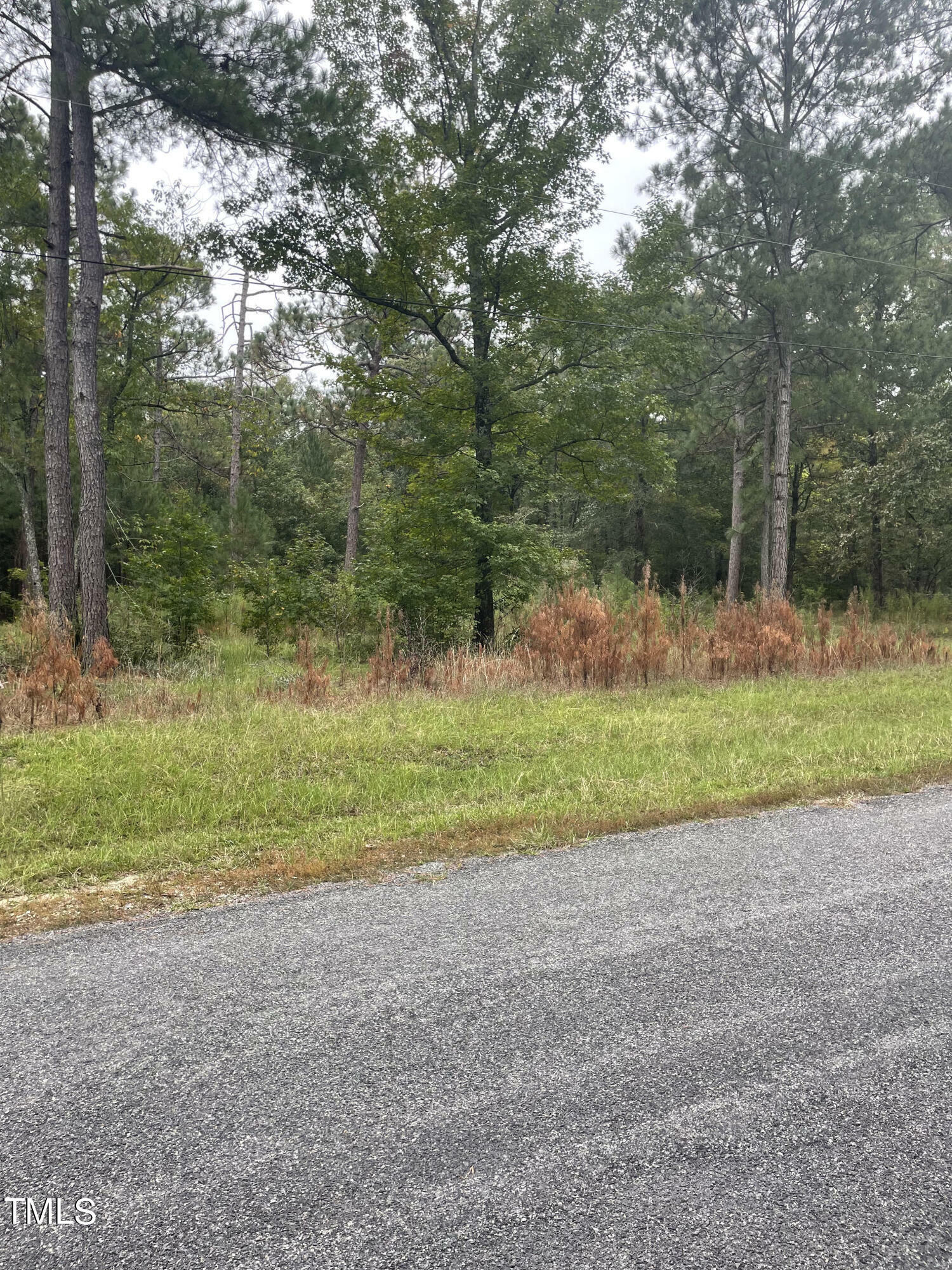 Property Photo:  Lot 31 Creek Bend Drive  NC 28394 