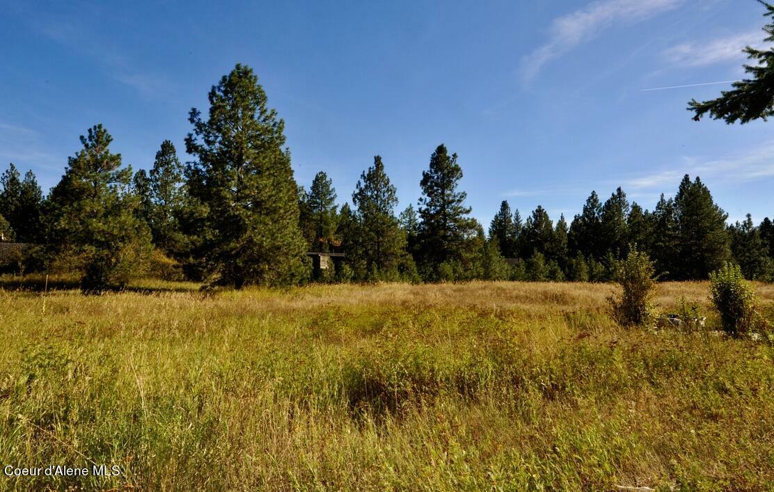 Property Photo:  15594 W Hwy 53  ID 83858 