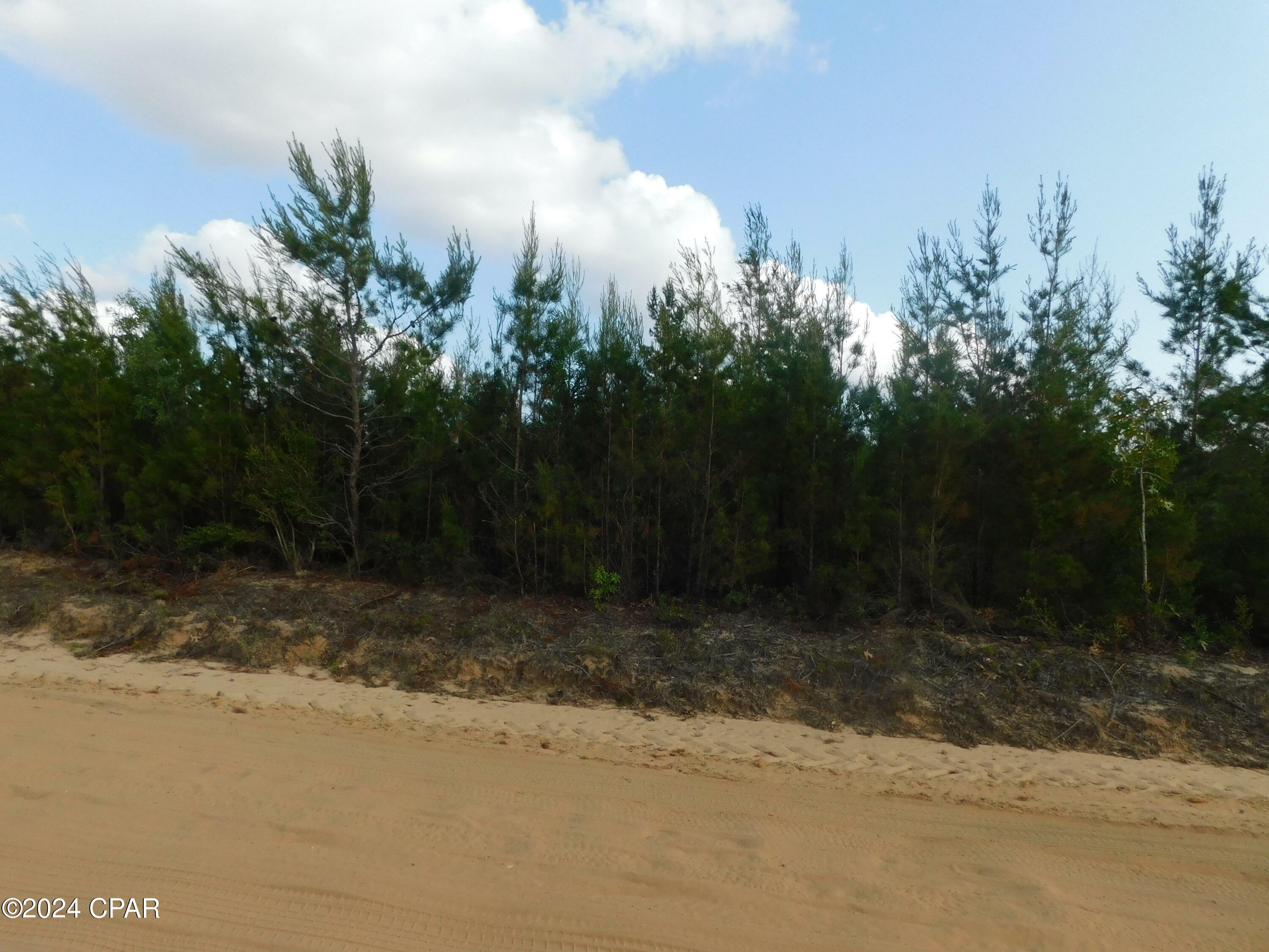 Property Photo:  Tbd S Silver Lake Road  FL 32438 