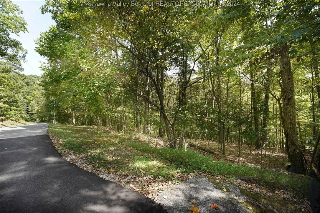 Property Photo:  Lot 37 Poplar Estates  WV 25560 