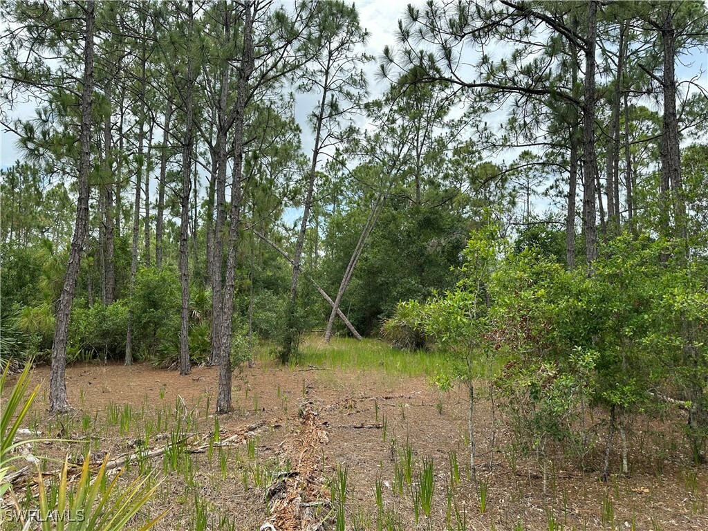 Property Photo:  0 44th Street NE  FL 34120 