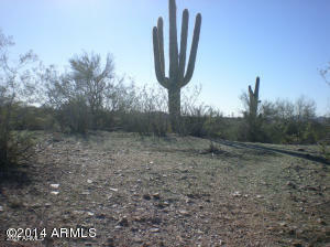 Property Photo:  50.451 Ac Jack Burden Road -  AZ 85390 