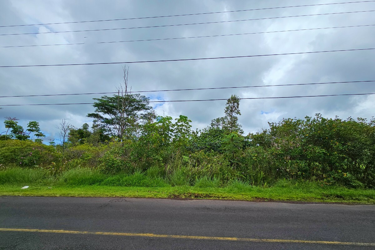 Property Photo:  Ainaloa Dr  HI 96778 