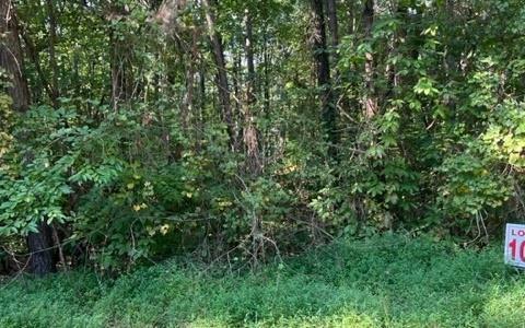 Property Photo:  Lt 10 Mountain Lake Road  GA 30540 