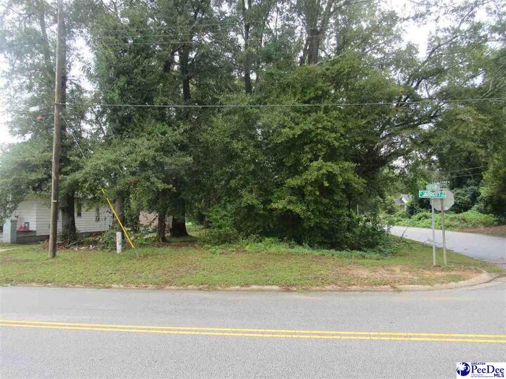 Property Photo: 458 Jarrott St. SC 29506