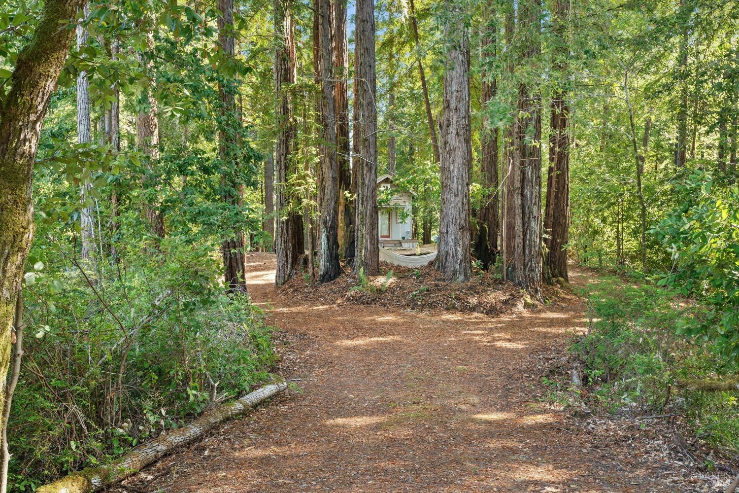 Property Photo:  2755 Cazadero Highway  CA 95421 