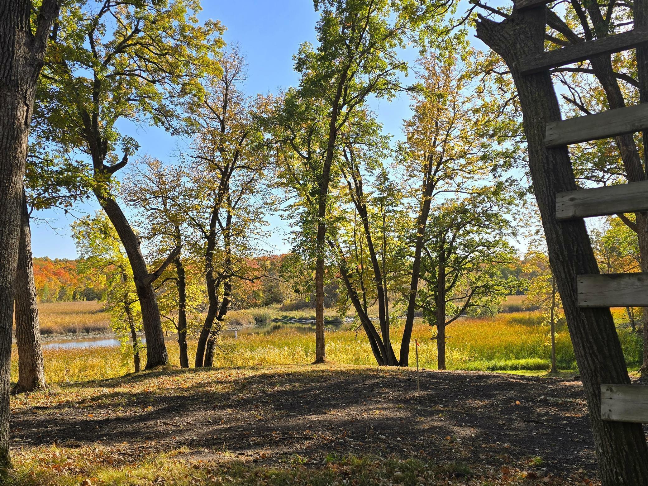 Property Photo:  Tract K Blybergs Lane  MN 56572 