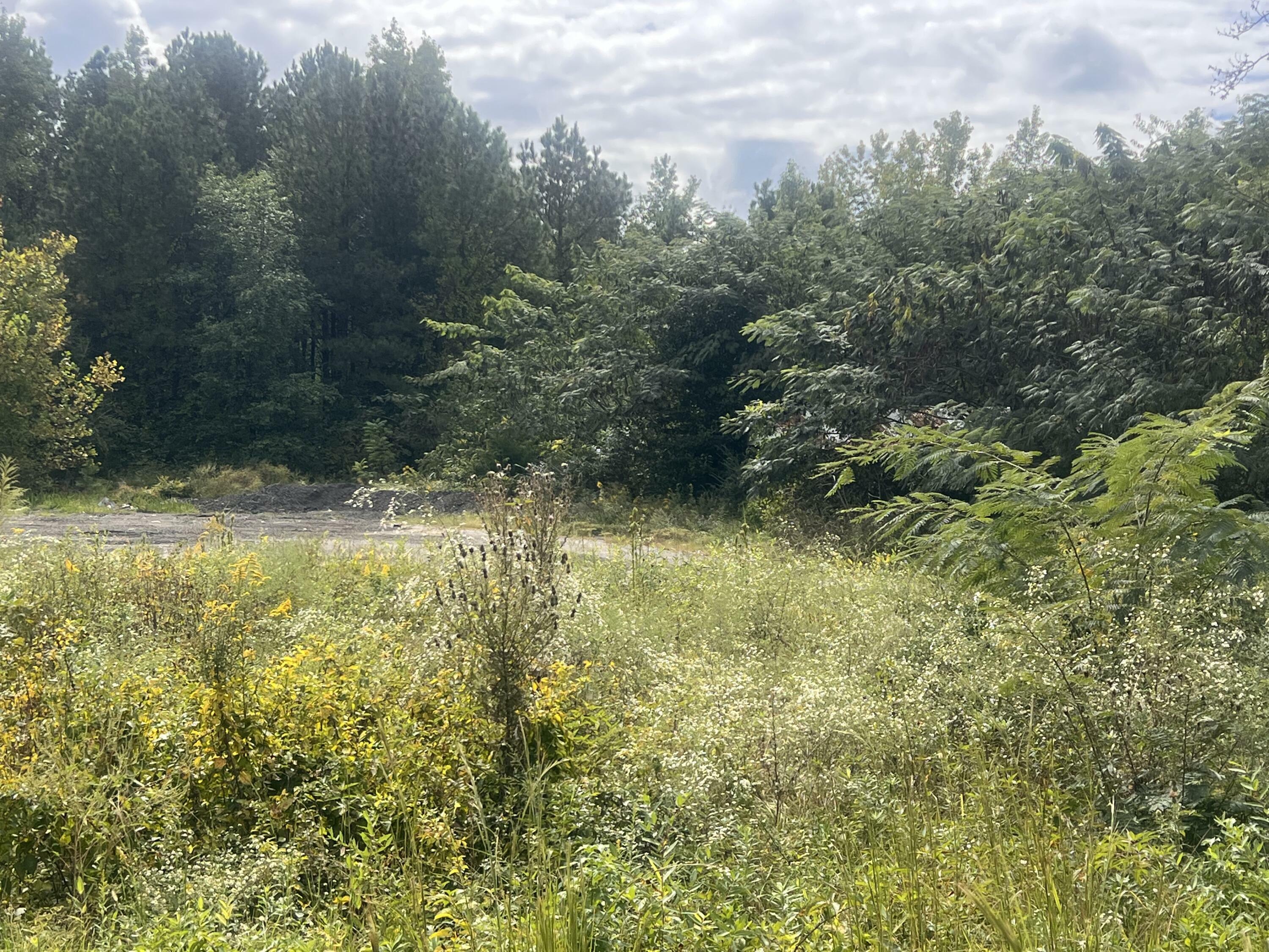 Property Photo:  0 Alabama State Route 40  AL 35989 