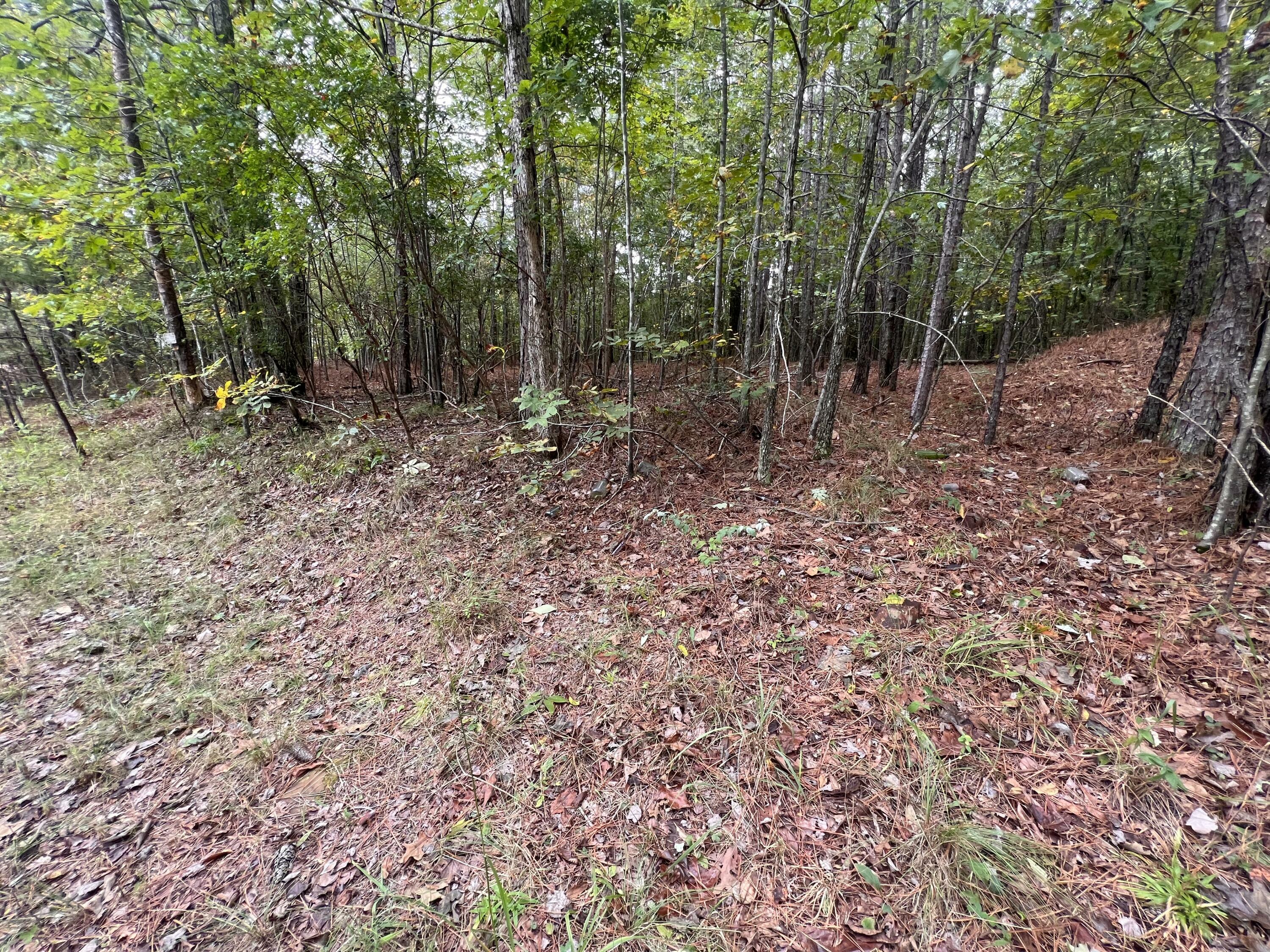 Property Photo:  0 County Road  AL 35984 