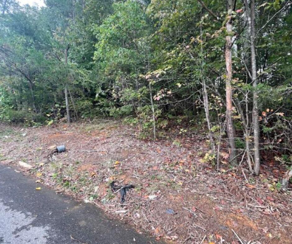 Property Photo:  312 Hayter Drive  TN 37813 