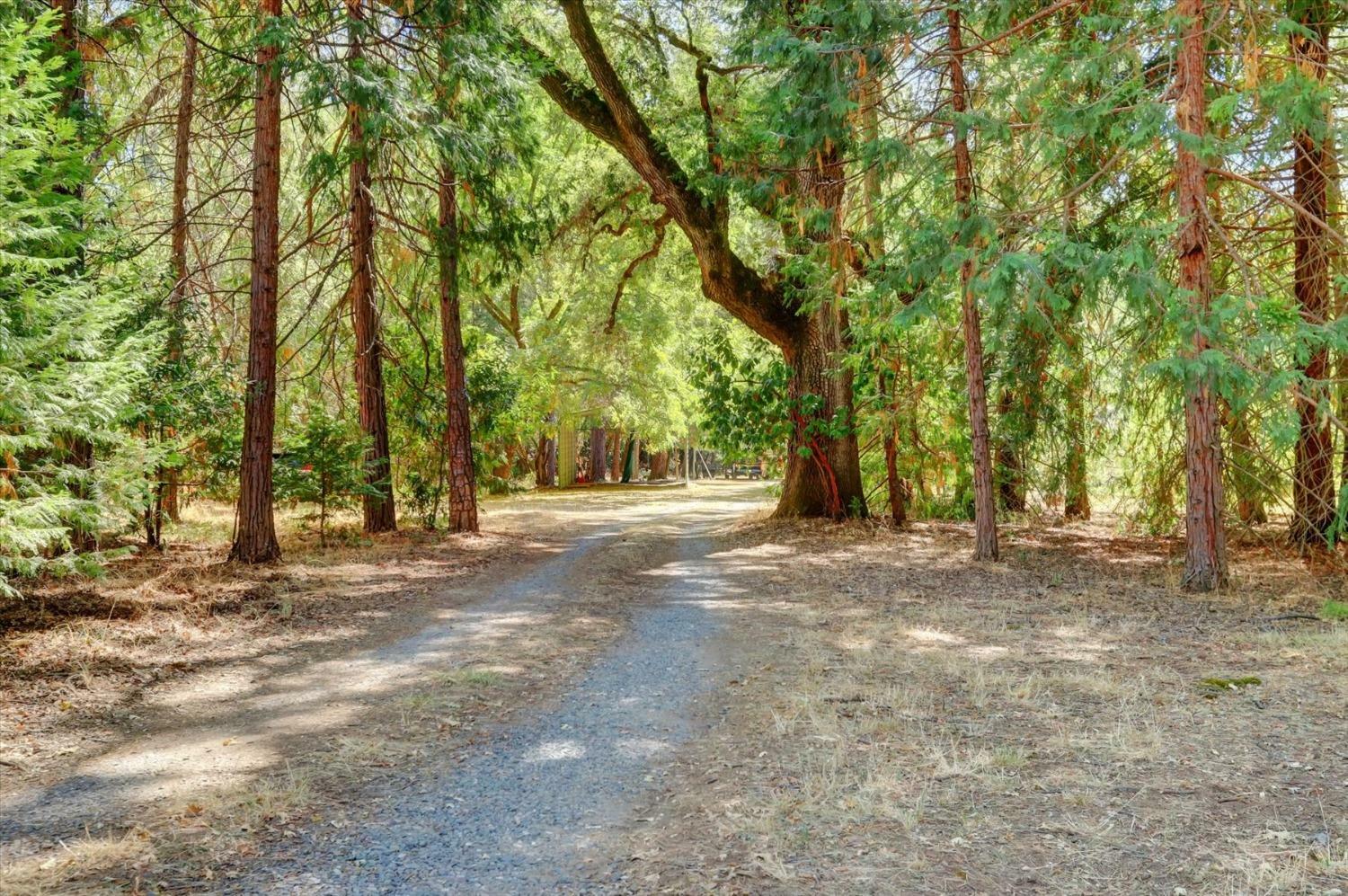 Property Photo: 10848 Eich CA 95935