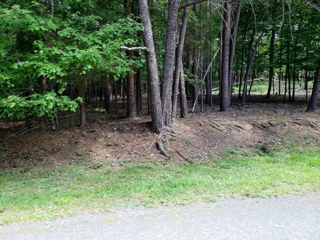 Property Photo:  0 Highland Park Road  VA 24176 