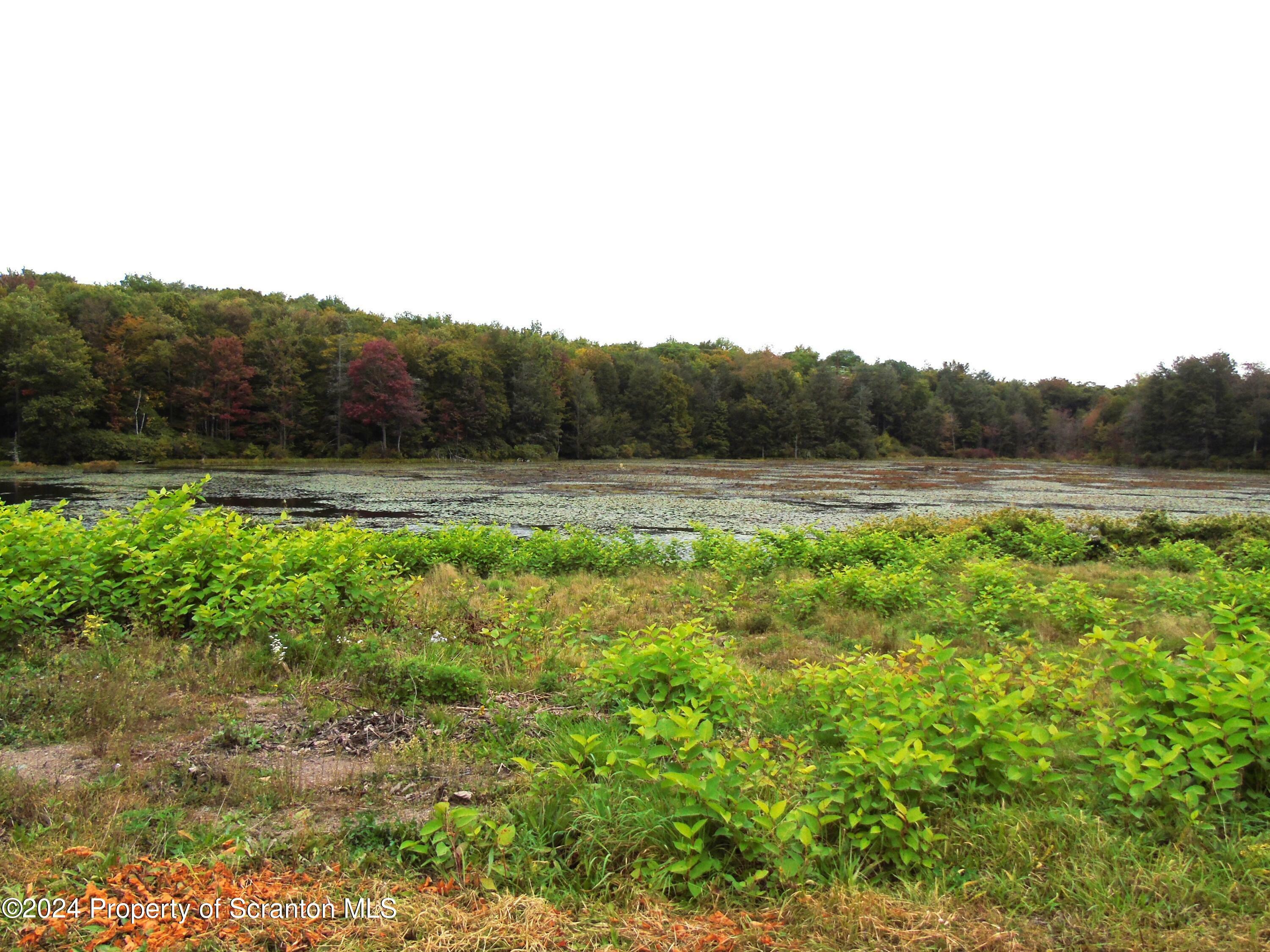 Property Photo:  4290 Bird Road Tr 355  PA 18444 