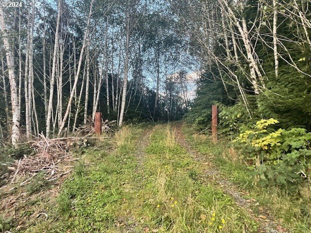 Property Photo:  Lot  300 Raghorn Rd  OR 97138 