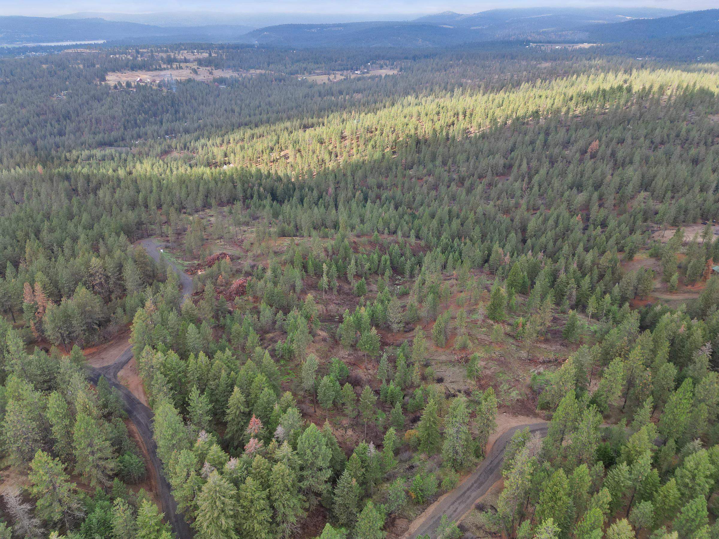 Property Photo:  Nka Weaver Way Lot 4  WA 99006 