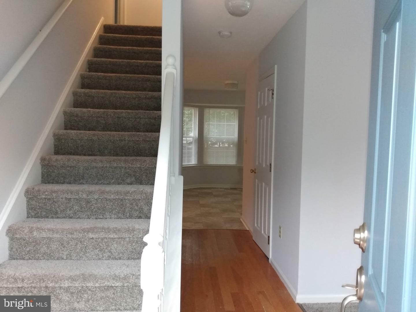 Property Photo:  117 Cherry Tree Lane  MD 21921 