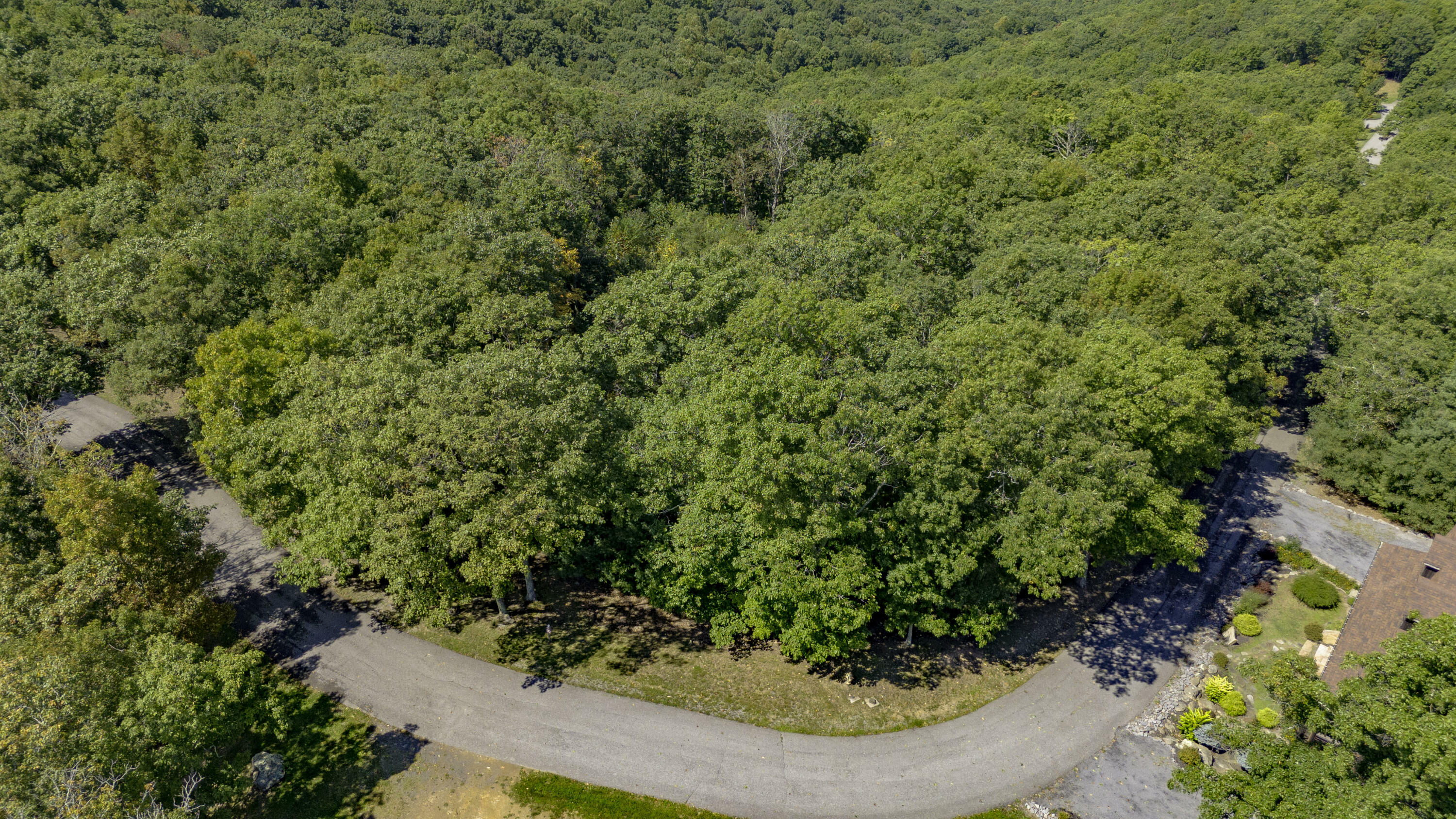 Property Photo:  Lot 95 White Rock Trl  WV 24925 