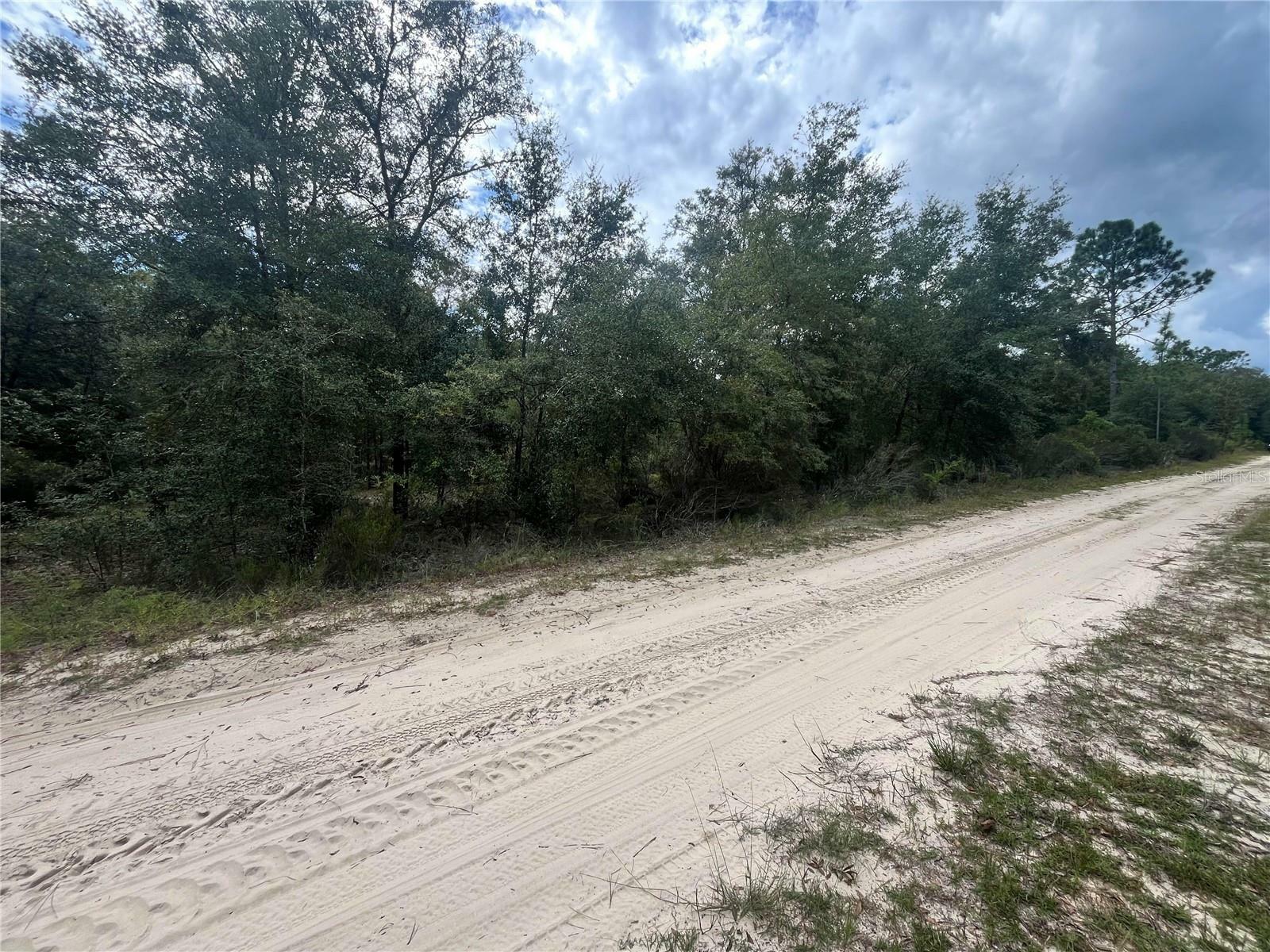 Property Photo:  Lots 211-212 NE 86th Street  FL 32621 