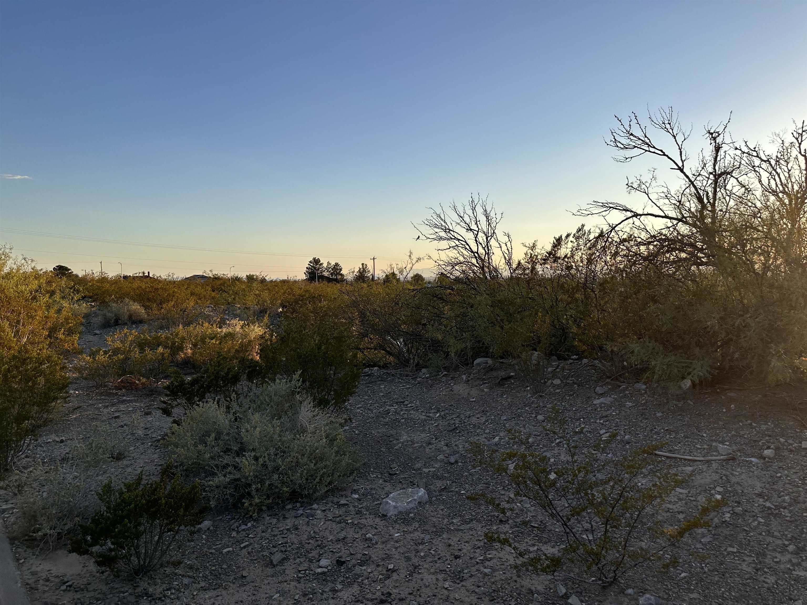 Property Photo:  2109 Scenic Dr 2109,2113,2117 Scenic Dr  NM 88310 