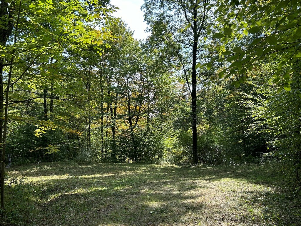 Property Photo:  200 Ridge Road  NY 13787 