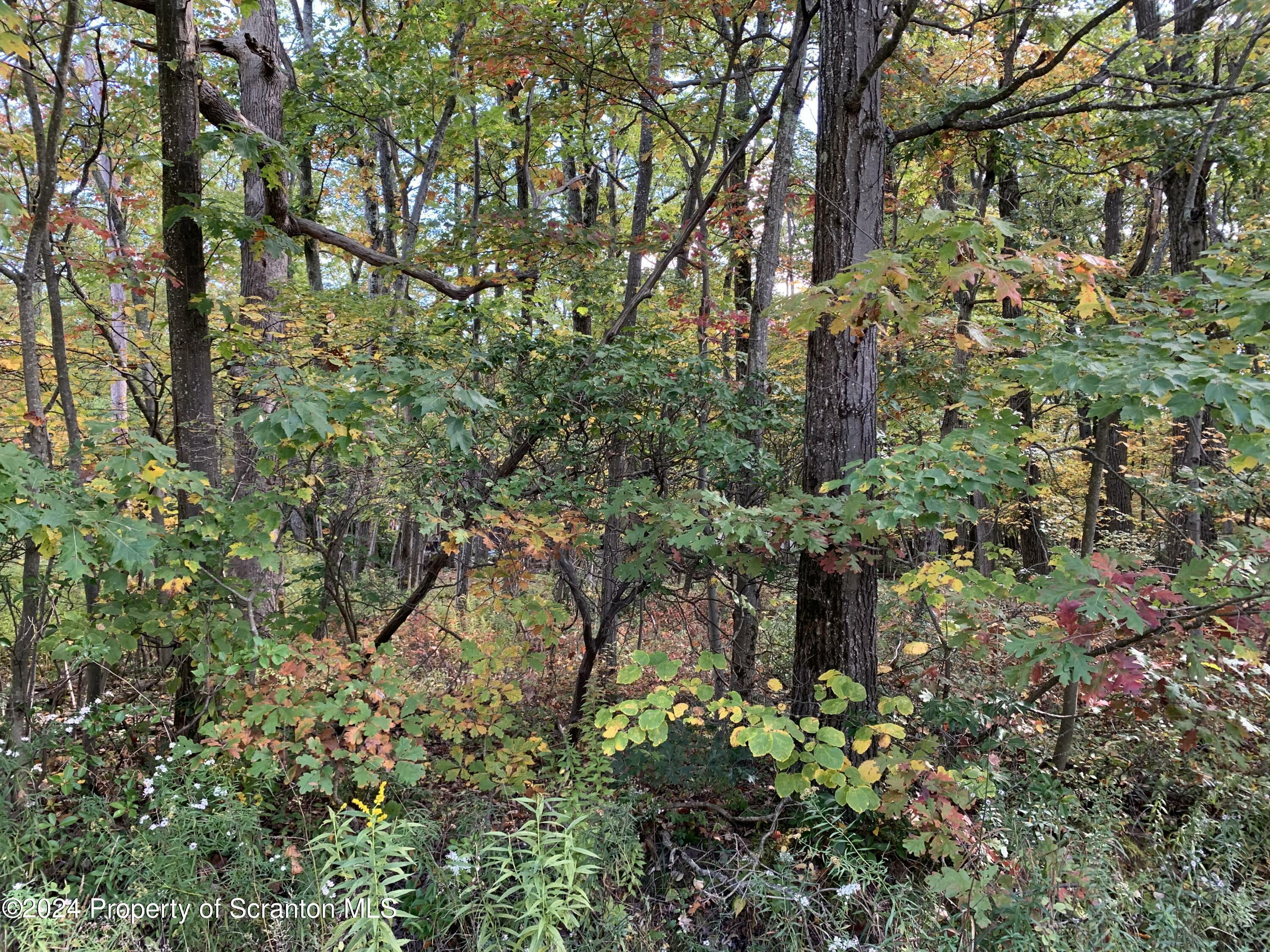 Property Photo:  Glen Road  PA 18436 